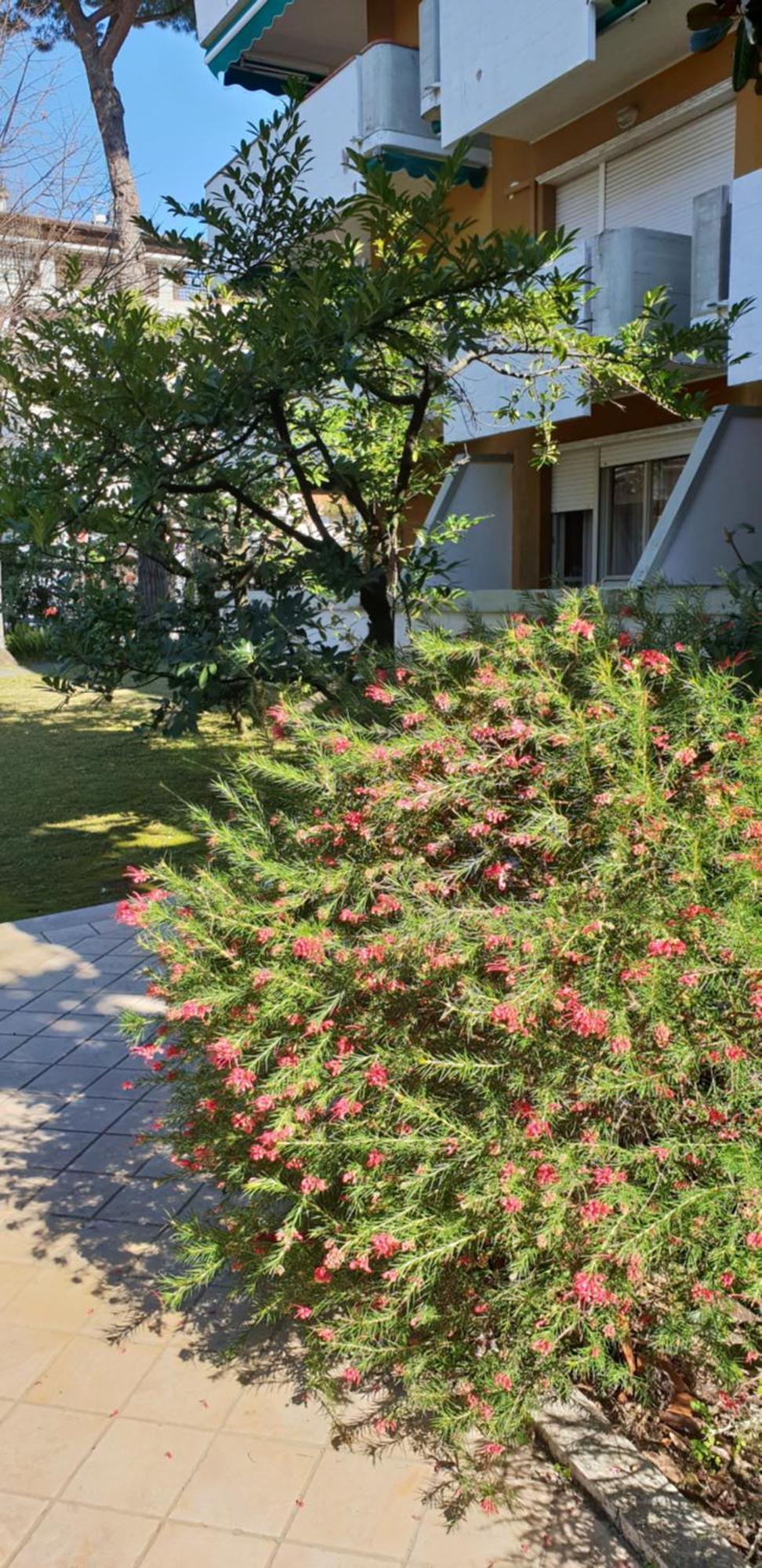 Versilia Apartment Форте дей Марми Екстериор снимка